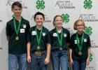 4-H Youth shine at Consumer Decision Making Contest