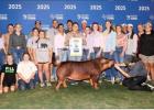 Thorndale FFA member Riley Clinard earned Reserve Breed Champion with her Duroc gilt at the State Fair of Texas. Congratulations Riley! Photo Courtesy of Thorndale ISD