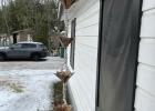 Weekend Ice Storm Transforms Texas