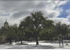 A World on Ice: Photos From the Weekend Storm