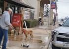 Cameron Clubs Join Forces for Downtown Beautification