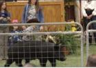 Milam County Junior Livestock Show