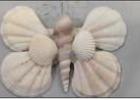 Milam Co Kal-El Martinez’s Seashell animal - Ornament - Christmas Ornaments - 5th Place