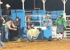 Scenes from Rockdale Fair & Rodeo