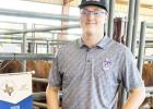 Saluting the Cameron FFA Chapter