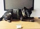 MCSO K9 Assists in Narcotics Arrest