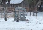 Weekend Ice Storm Transforms Texas