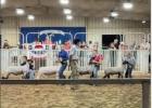Maddison Reed, Caylee Butler, and Case Butler showing their lambs in the Champion Drive at the Rockdale Fair. Maddison Reed, Caylee Butler, and Case Butler showing their lambs in the Champion Drive at the Rockdale Fair.