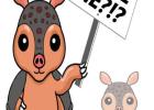 Name the Armadillo